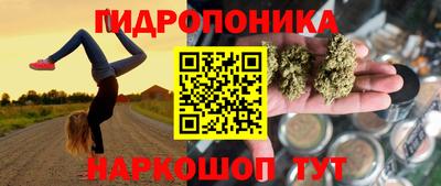 apvp Рыбинск