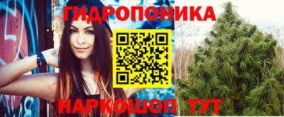 apvp Рыбинск
