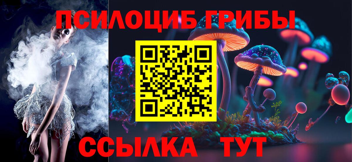 Галлюциногенные грибы Psilocybine cubensis Самара