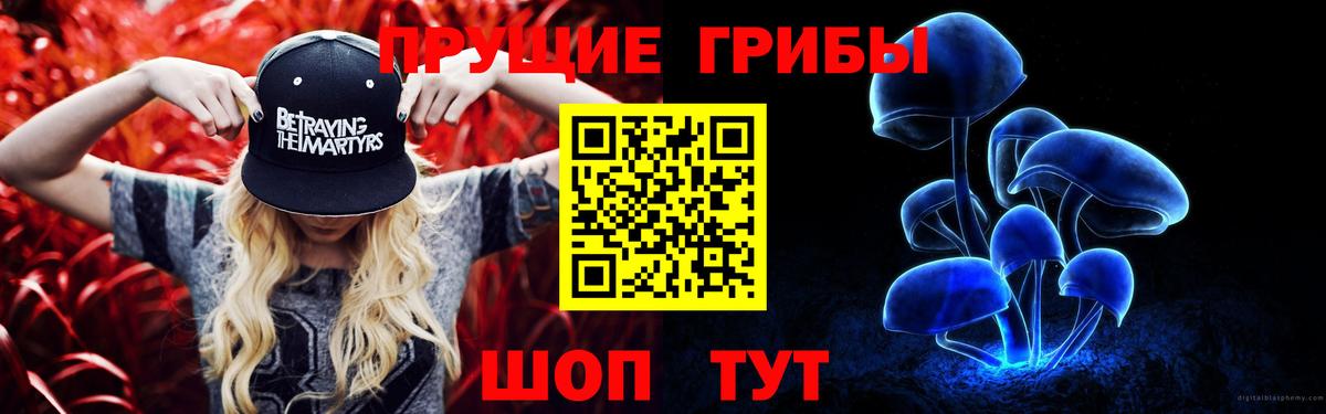 Псилоцибиновые грибы Magic Shrooms  даркнет сайт  Самара  Вход с VPN  Галлюциногенные грибы Psilocybe 