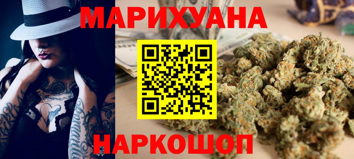 Конопля сатива Самара